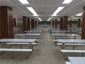 廣東鴻美佳家具廠專業(yè)定制不銹鋼餐桌椅 品質(zhì)、定制與價(jià)格解析